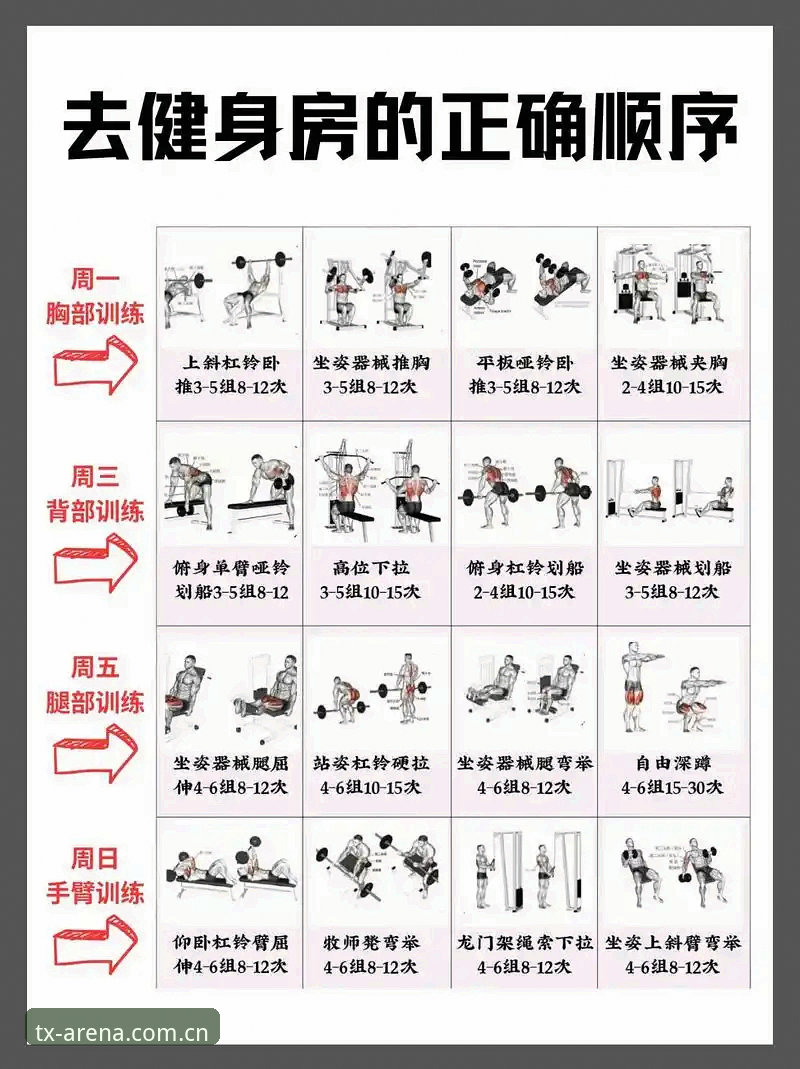 天行体育平台使用教程：从入门到精通的操作指南