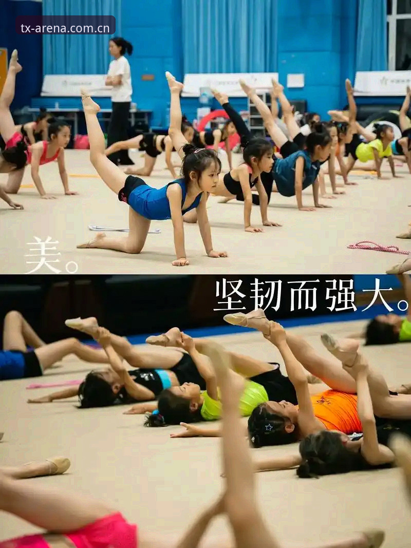 天行体育平台直播指南：3个关键步骤助你快速解锁高清赛事体验